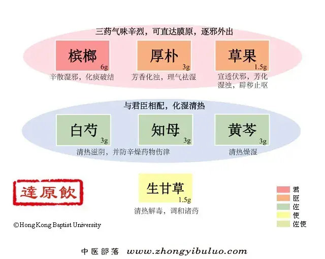 达原饮 - 图片1