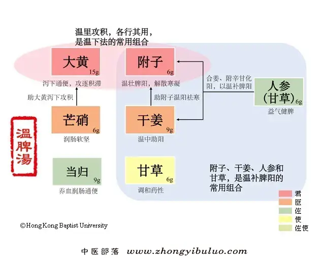 温脾汤 - 图片1