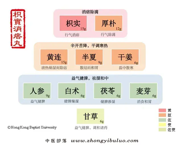 枳实消痞丸 - 图片1