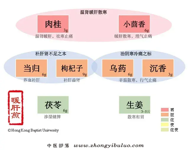 暖肝煎 - 图片1