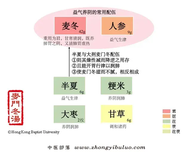 麦门冬汤 - 图片1