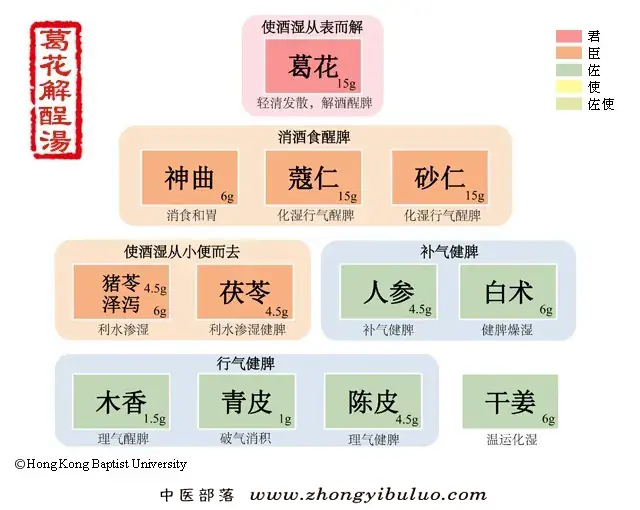 葛花解酲汤