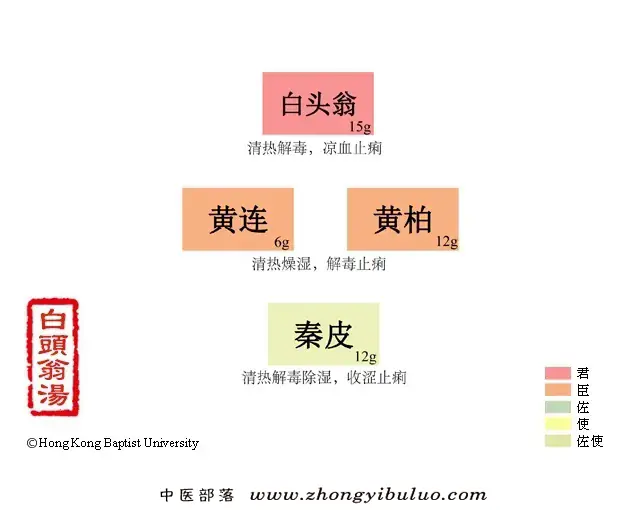 白头翁汤 - 图片1