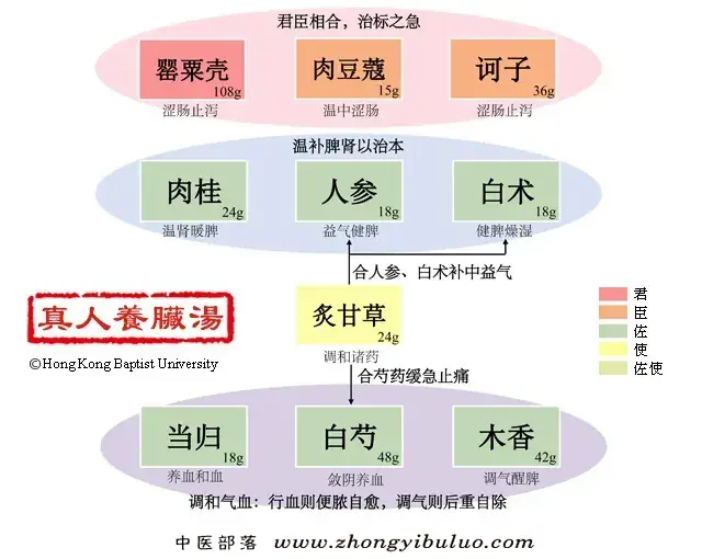 真人养脏汤 - 图片1
