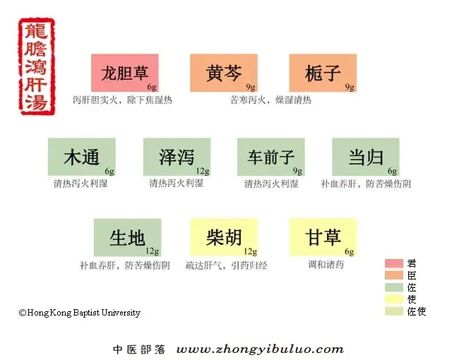 龙胆泻肝汤 - 图片1
