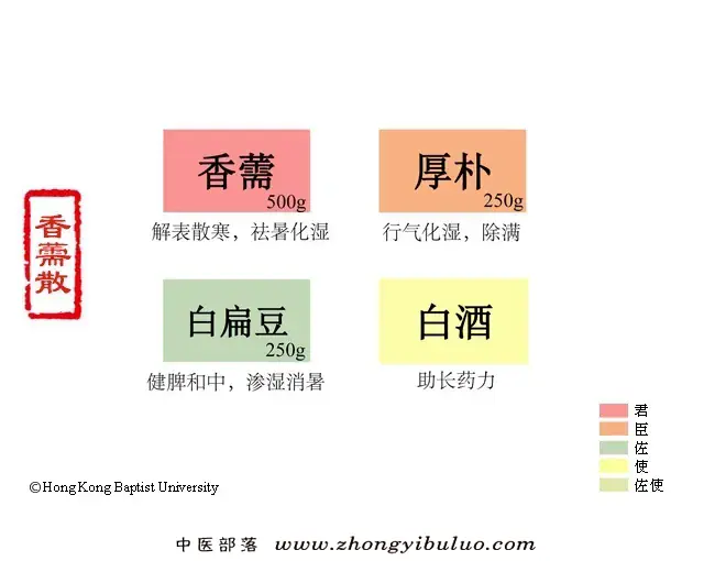 香薷散 - 图片1