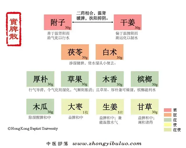 实脾散 - 图片1