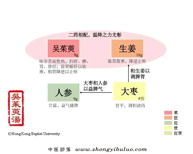 吴茱萸汤 - 图片1