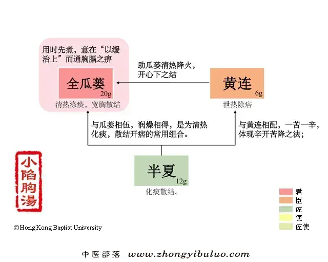 小陷胸汤 - 图片1