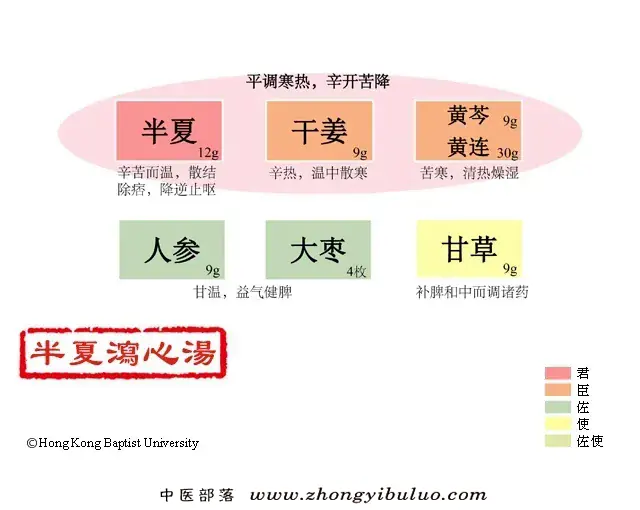 半夏泻心汤