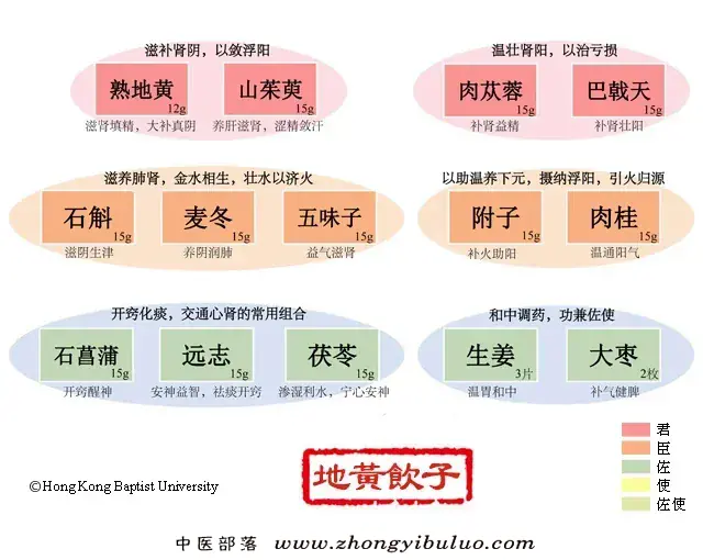 地黄饮子 - 图片1