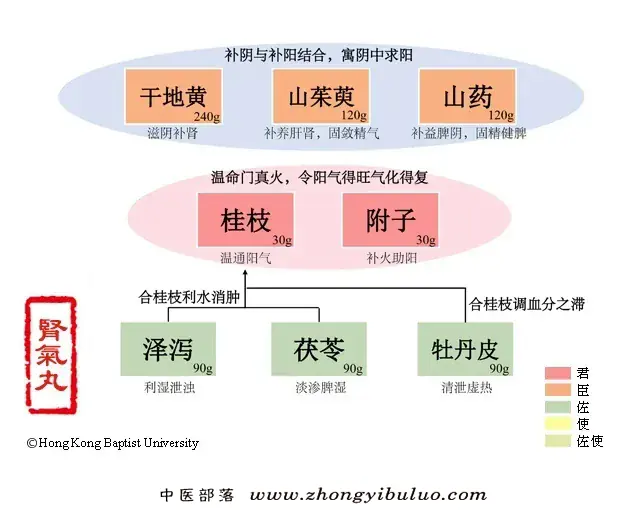 肾气丸