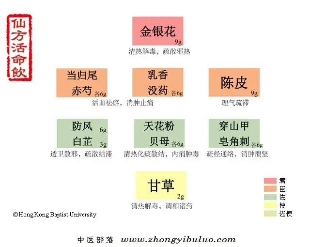 仙方活命饮 - 图片1