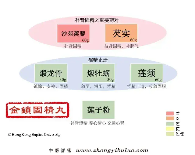 金锁固精丸 - 图片1