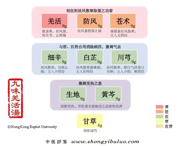 九味羌活汤 - 图片1