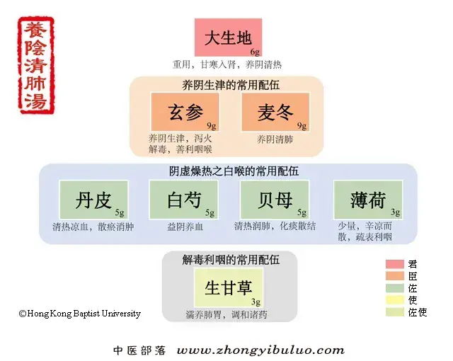 养阴清肺汤 - 图片1