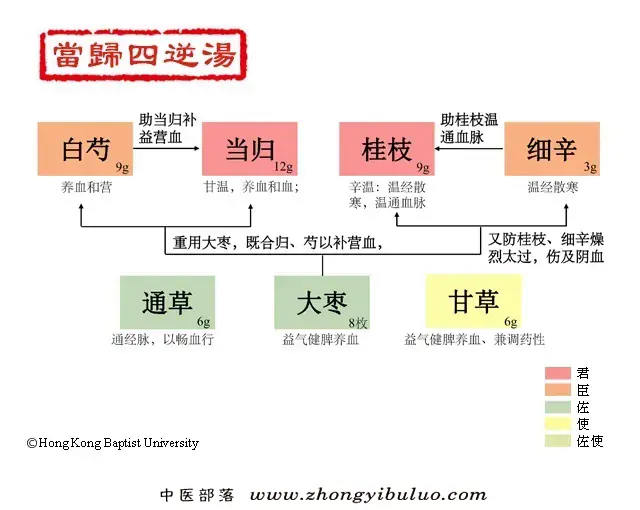 当归四逆汤 - 图片1