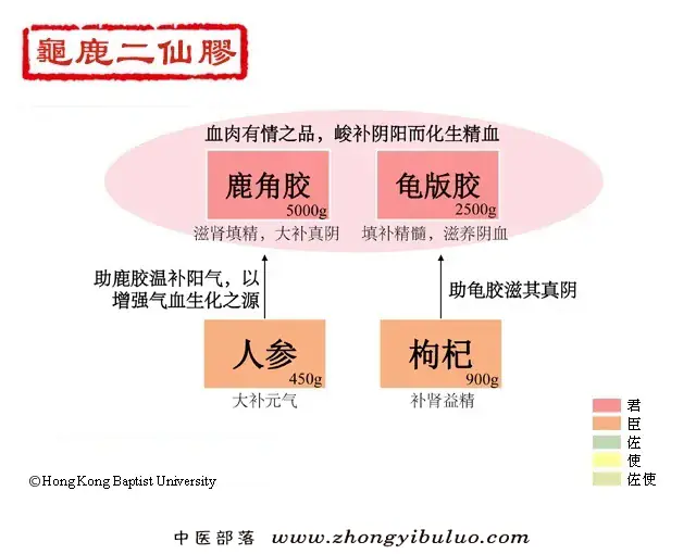龟鹿二仙胶 - 图片1