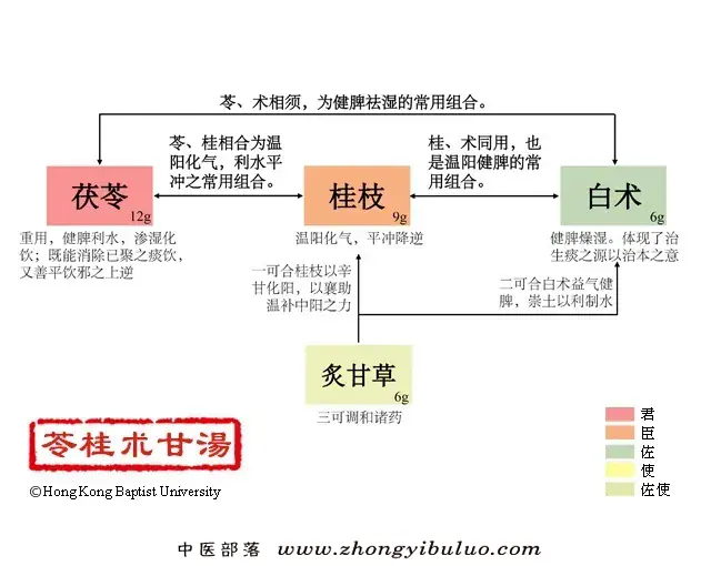 苓桂术甘汤 - 图片1