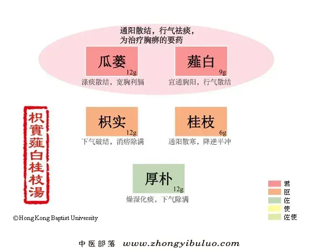 枳实薤白桂枝汤 - 图片1