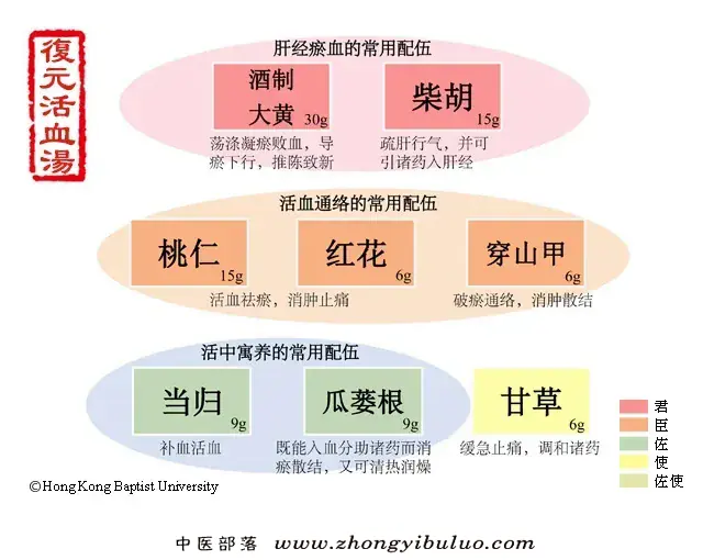 复元活血汤 - 图片1