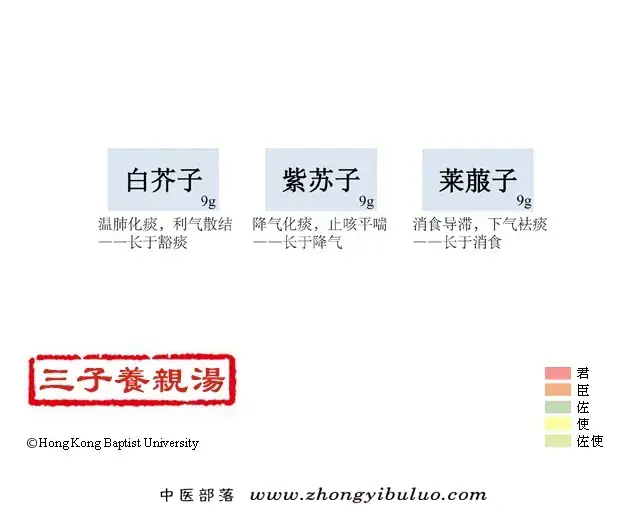 三子养亲汤 - 图片1