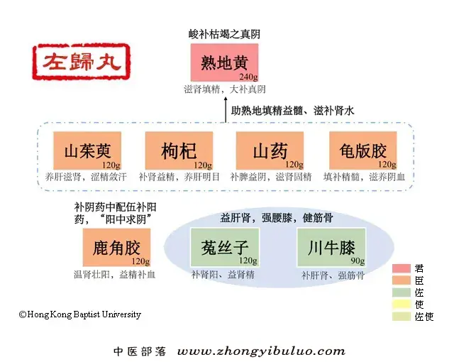 左归丸 - 图片1
