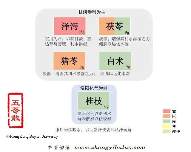 五苓散 - 图片1