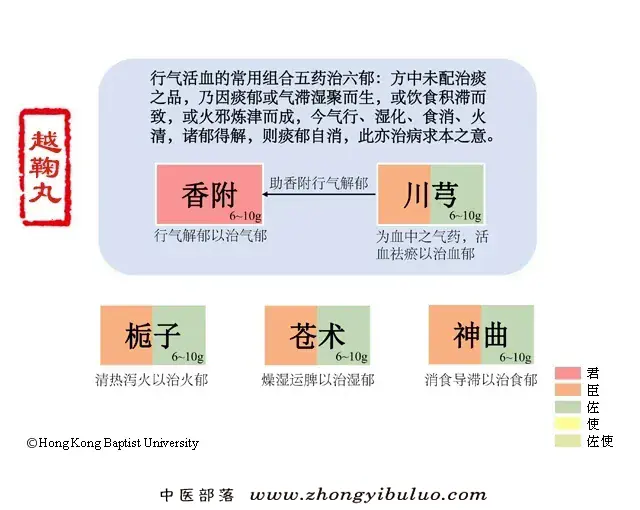 越鞠丸 - 图片1