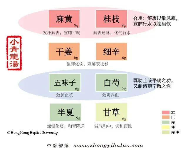 小青龙汤 - 图片1
