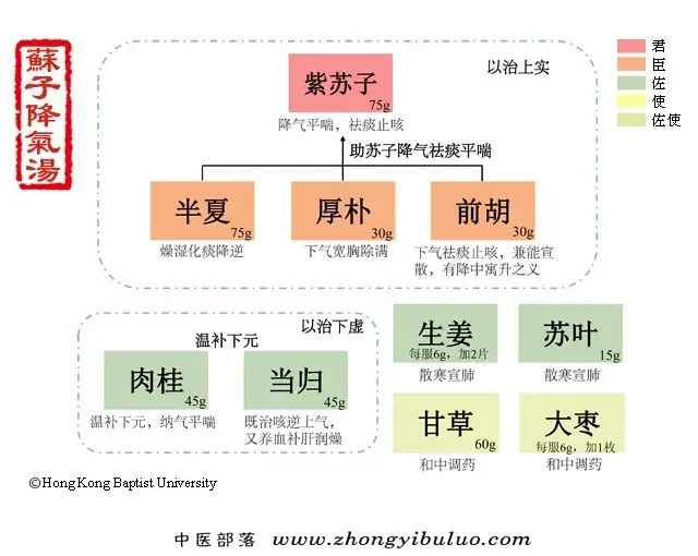 苏子降气汤 - 图片1