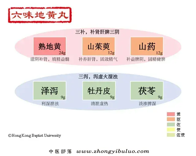 六味地黄丸 - 图片1