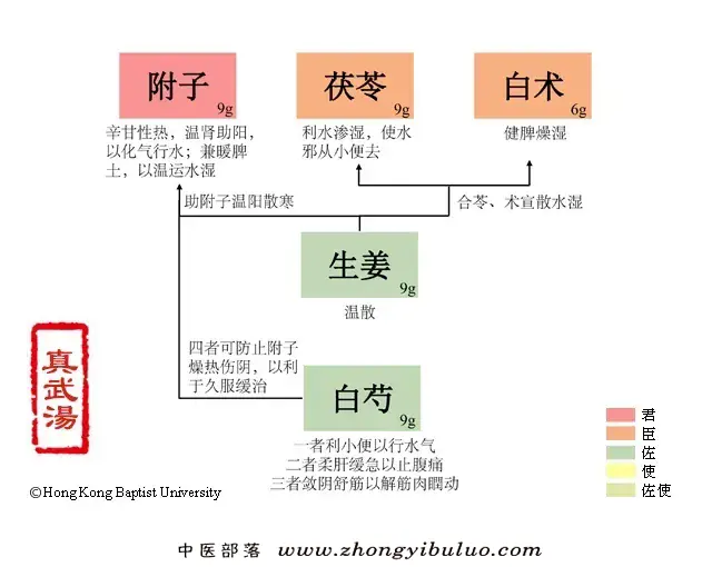 真武汤 - 图片1