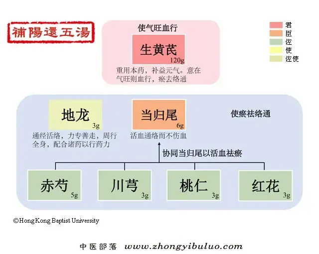 补阳还五汤 - 图片1