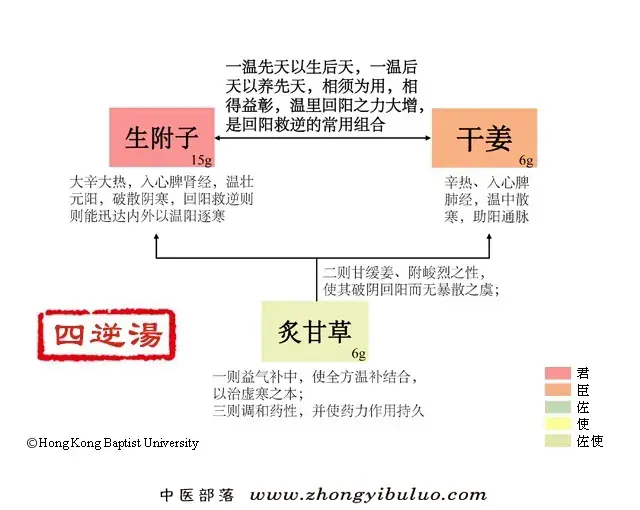 四逆汤 - 图片1