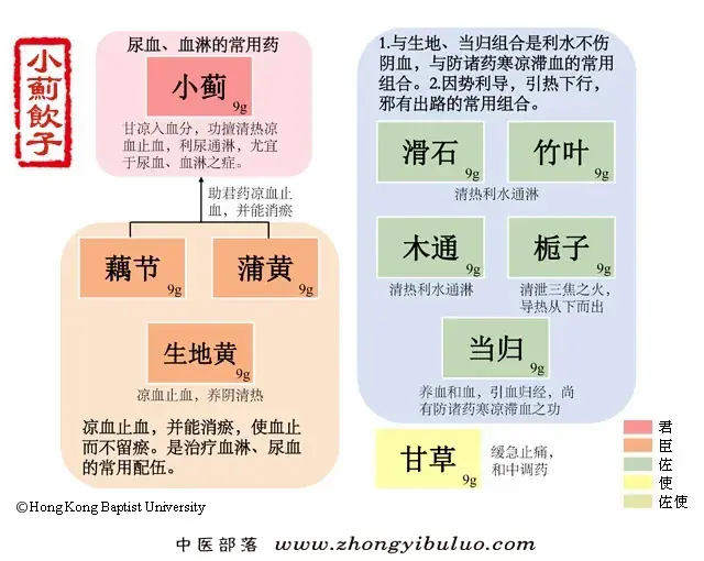 小蓟饮子 - 图片1