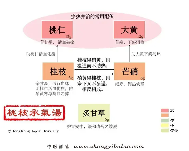 桃核承气汤 - 图片1