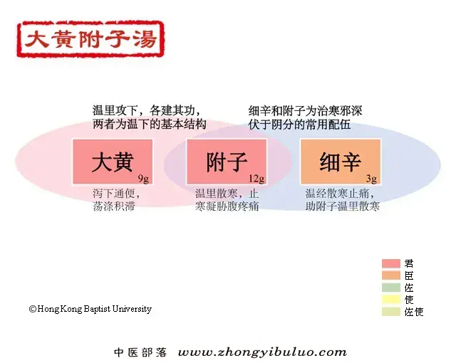 大黄附子汤 - 图片1