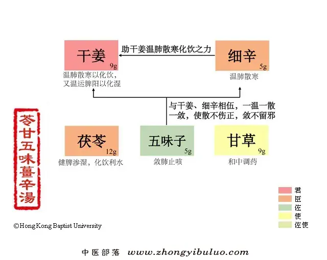 苓甘五味姜辛汤 - 图片1
