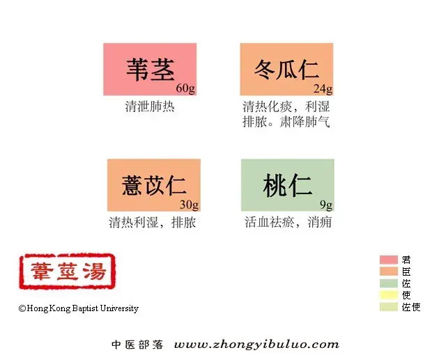 苇茎汤 - 图片1
