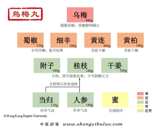 乌梅丸 - 图片1