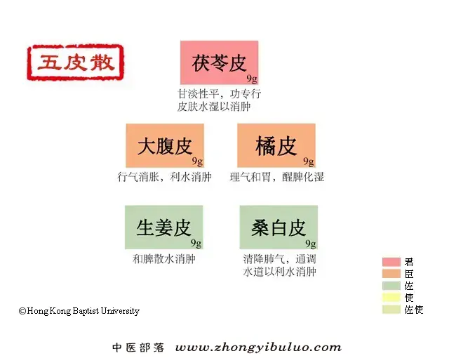 五皮散 - 图片1
