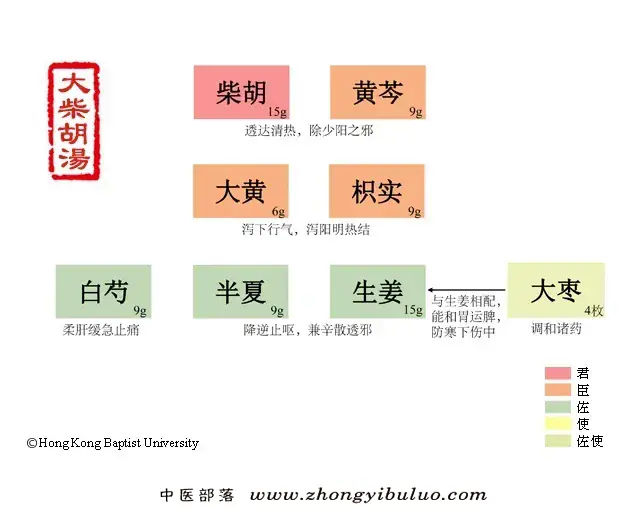 大柴胡汤 - 图片1