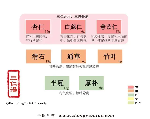 三仁汤