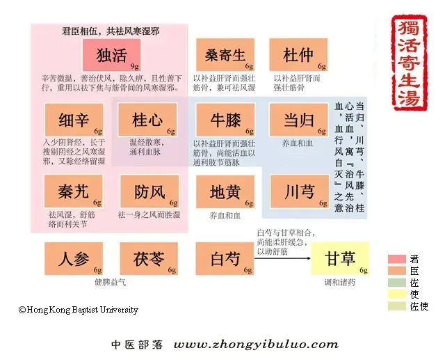 独活寄生汤 - 图片1
