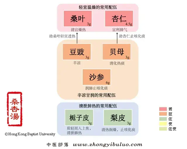桑杏汤 - 图片1