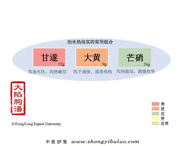 大陷胸汤