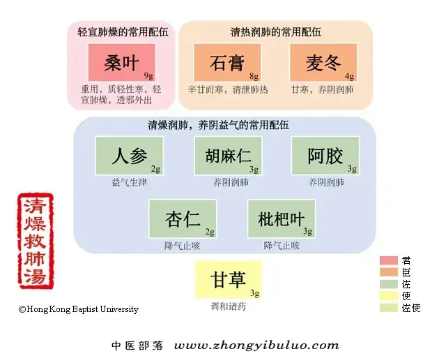 清燥救肺汤 - 图片1