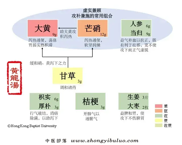 黄龙汤 - 图片1