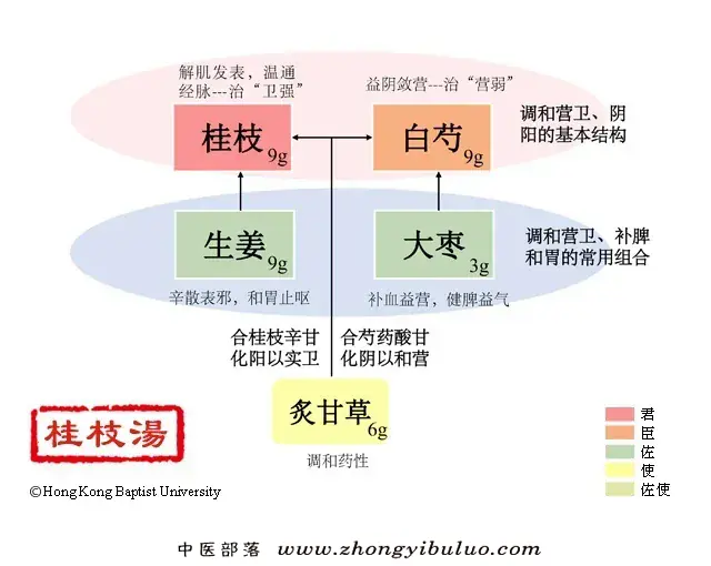 桂枝汤 - 图片1
